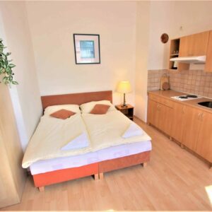Pokoj 8 (Cestovatelský apartmán)